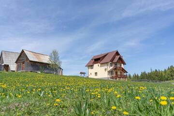 Фото Лоджи Cabana Poiana Dealul Frumos г. Hănăşeşti 1