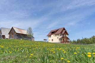 Фото Лоджи Cabana Poiana Dealul Frumos г. Hănăşeşti